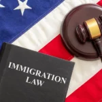 Understanding the Complexities of USA Immigration Law How Professional Advice Can Simplify Your Journey