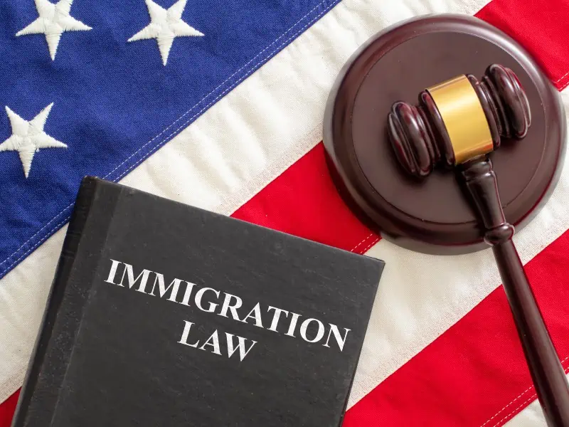 Understanding the Complexities of USA Immigration Law How Professional Advice Can Simplify Your Journey